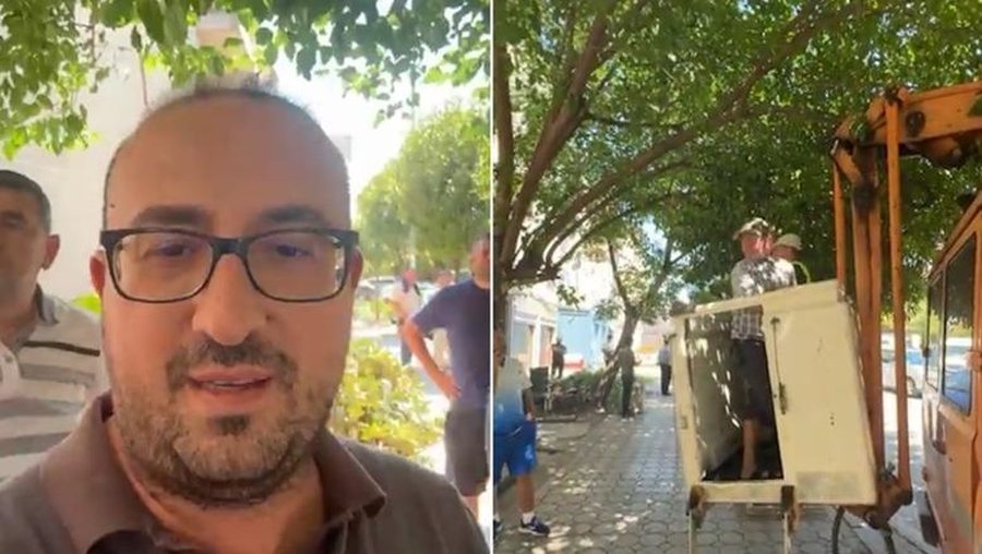Parodi në Lushnjë/ Kryebashkikaja Sefa urdhër të pritet pema