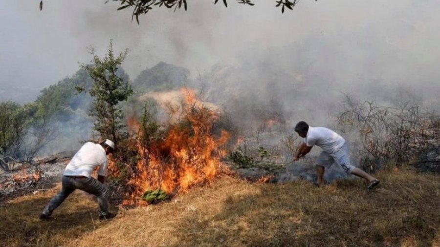 Zjarret në Shqipëri: 7 vatra aktive, situata më kritike në