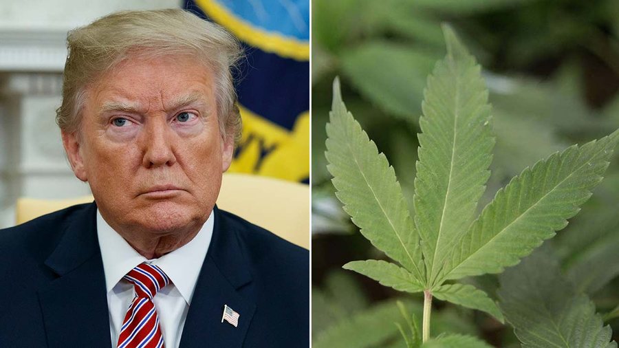 E papritur/ Trump 'hap derën' për ndryshime historike