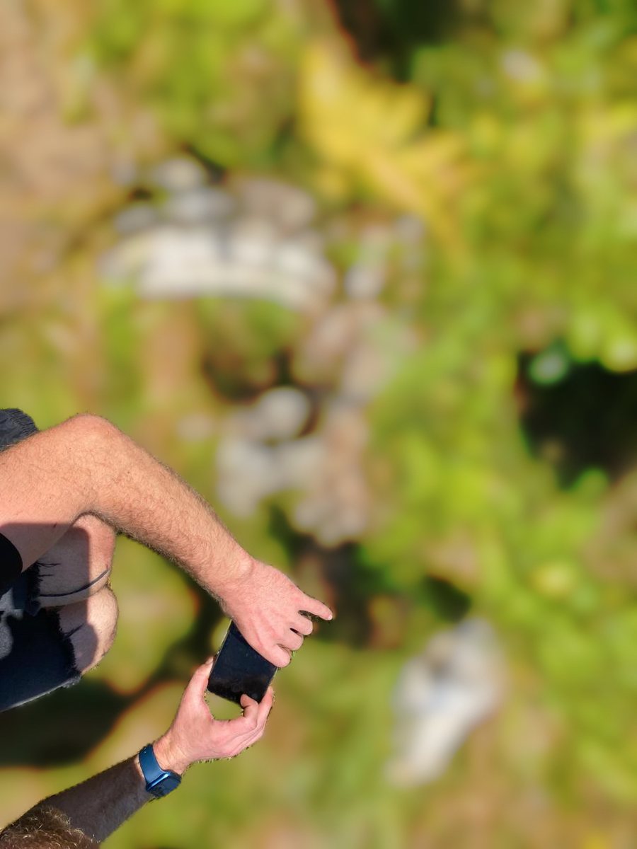 Masakra e kuajve në Shqipëri vijon: Shënjestrohen sërish