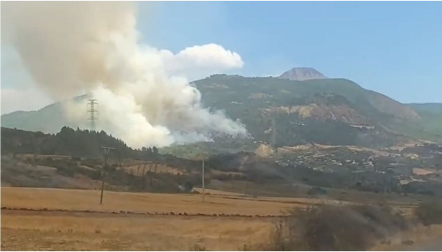 Gramshi përfshihet nga flakët/ Konfirmohet viktima e parë nga