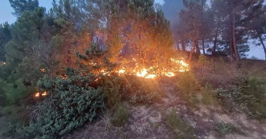 Shqipëria në flakë, 19 vatra zjarri aktive në vend. Vdes