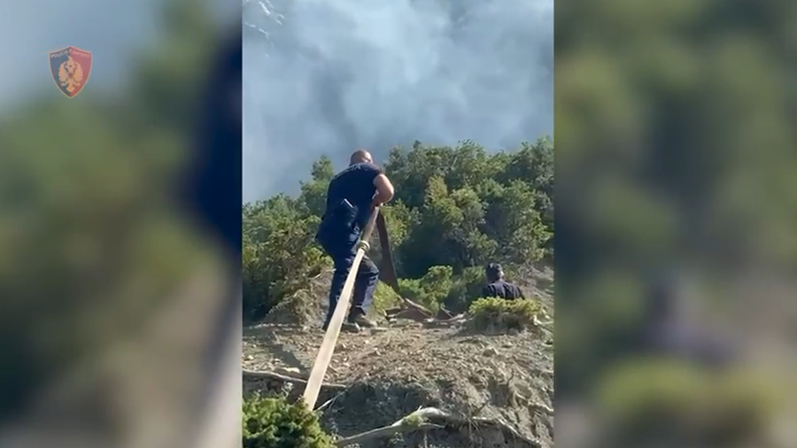 VIDEO/ Dogji ullishtet e fqinjve pas sherrit, pranga 19 vjeçarit në