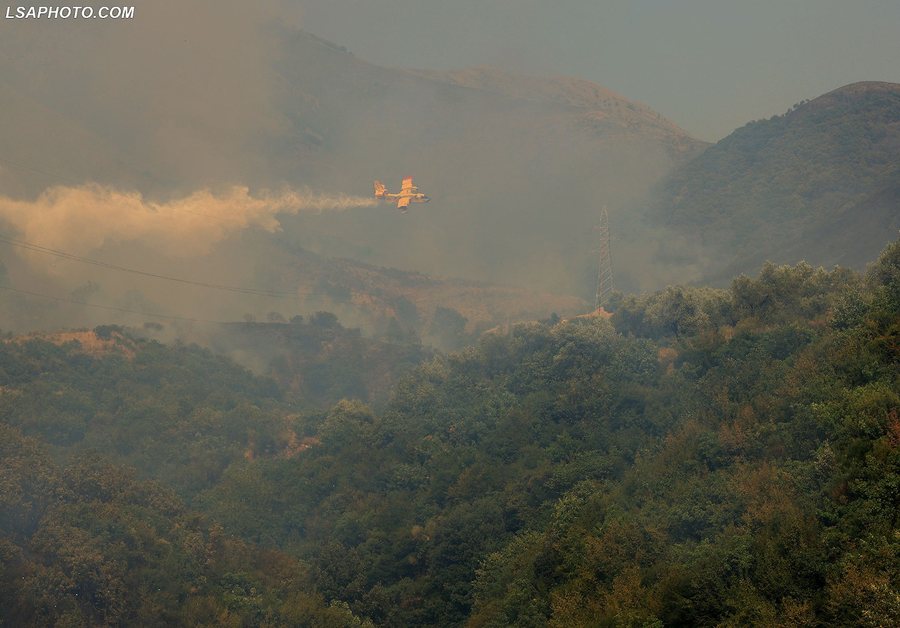 Pamje rrëqethëse/ Zjarri nuk kursen asgjë, pasojat e rënda