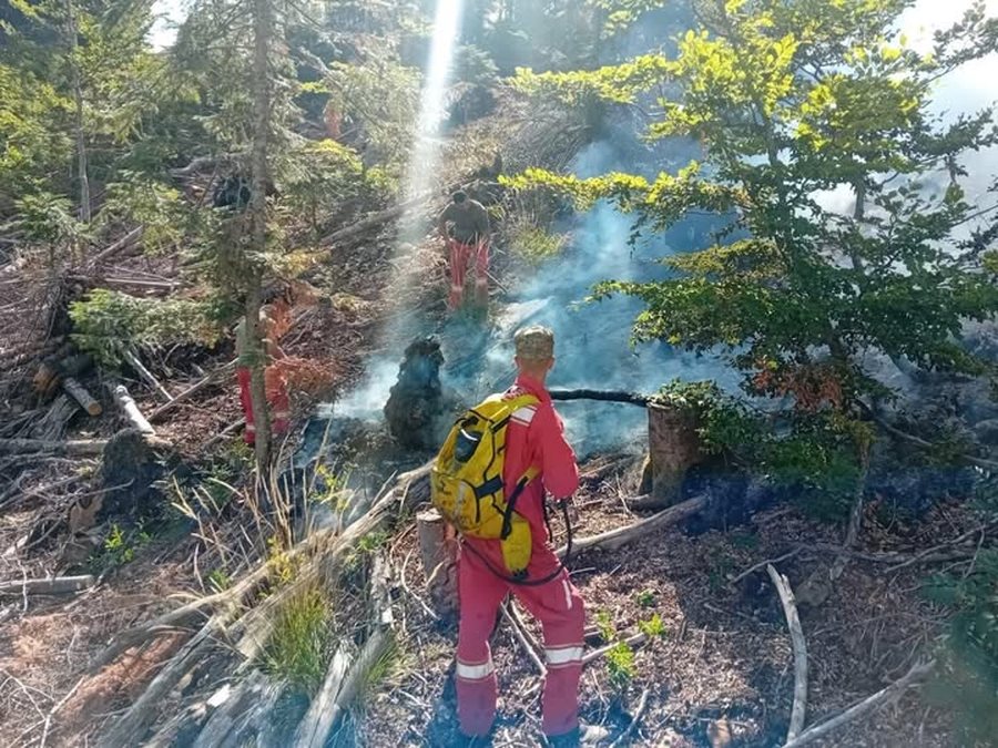 Situata e zjarreve në 24 orë/ Ministria e Mbrojtjes: Janë
