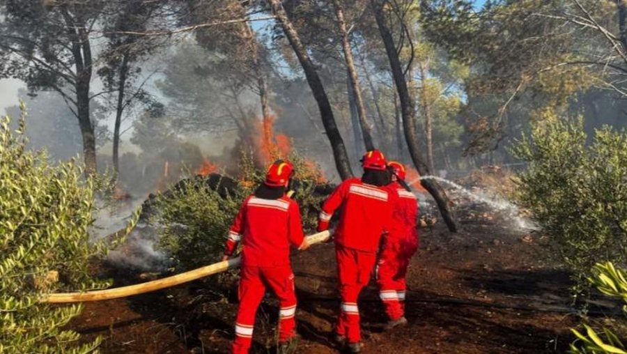 Situata e zjarreve në vend/ Ministria e Mbrojtjes: Janë shuar 9 vatra,