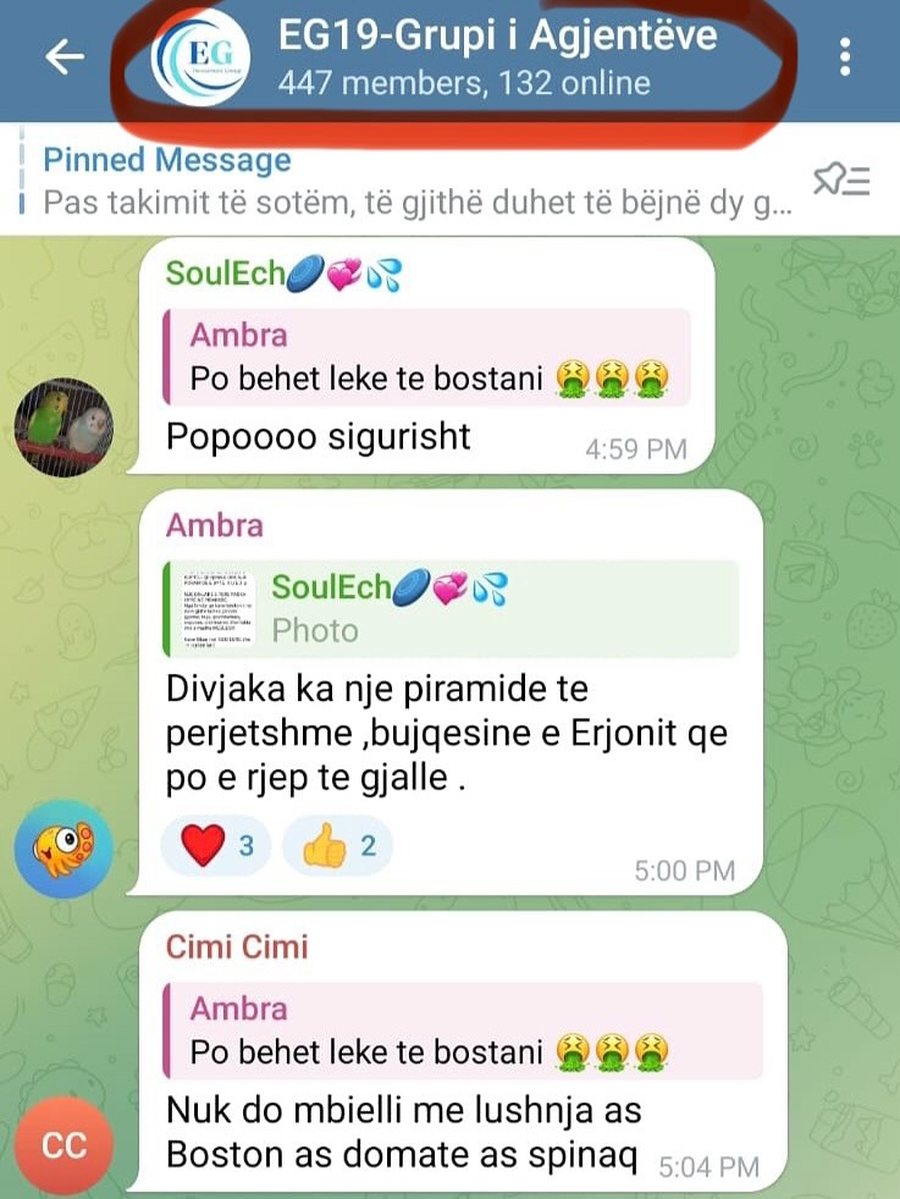Piramidat online që po zhvasin shqiptarët, Braçe publikon