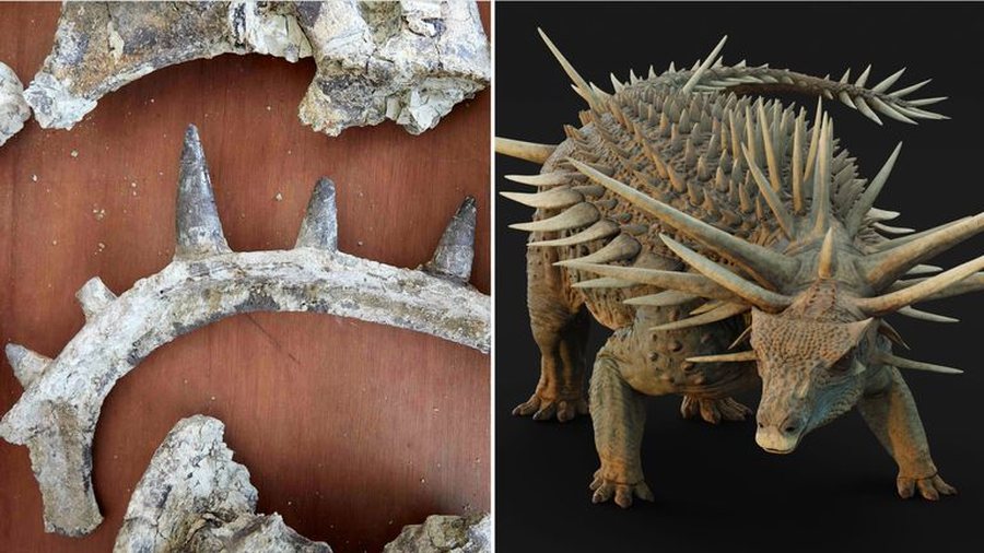 Zbulohet një dinosaur i çuditshëm në Marok