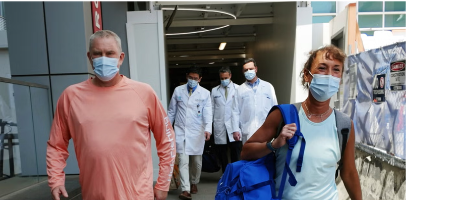 I vunë një veshkë derri, transplanti eksperimental që po