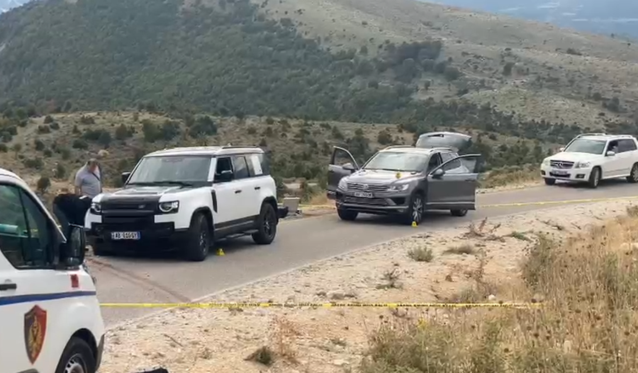 Policia arreston autorin e dyshuar të vr*sjes së italianit në