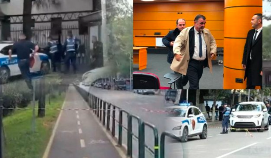 Skaneri i metaleve prej ditësh jashtë funksionit, zbulohet sesi i riu