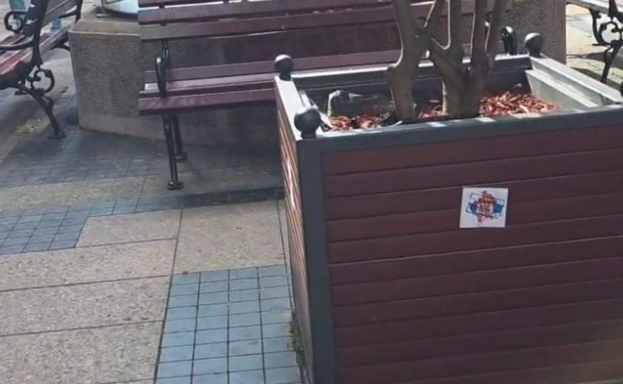 Ndeshja në Serbi, federata serbe shton flamurin shqiptar në stadium,