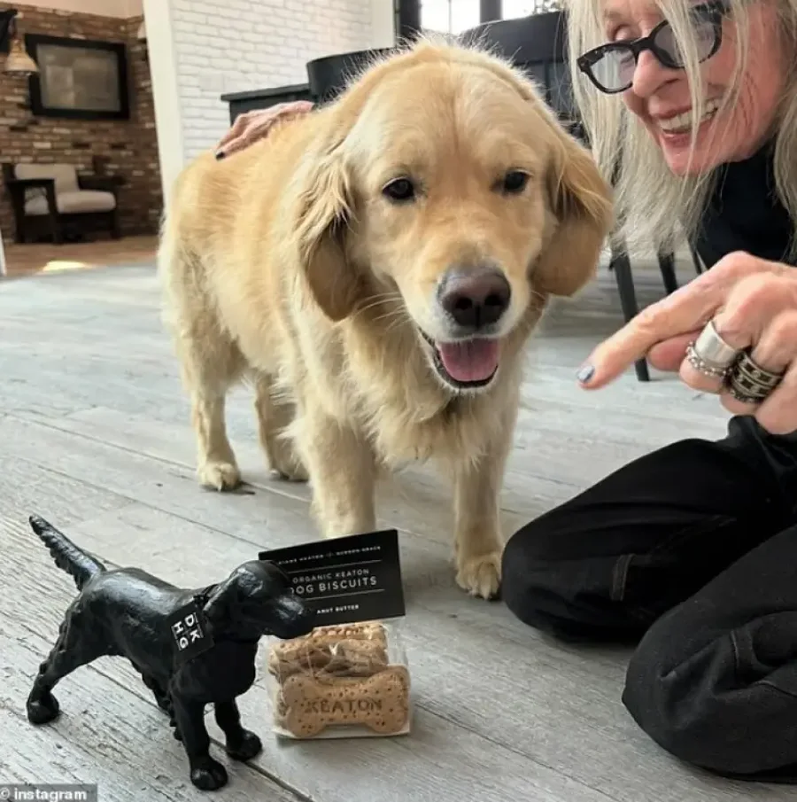 Trishtim për vdekjen e Diane Keaton: Përkeqësimi i shpejtë i