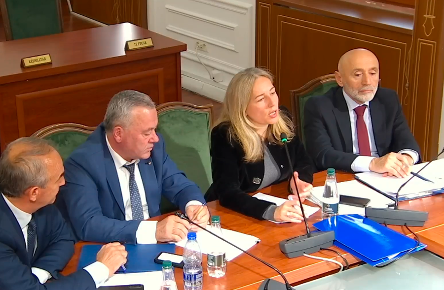 Drafti i kodit të ri penal, Bogdani: Nuk u përfshimë nga