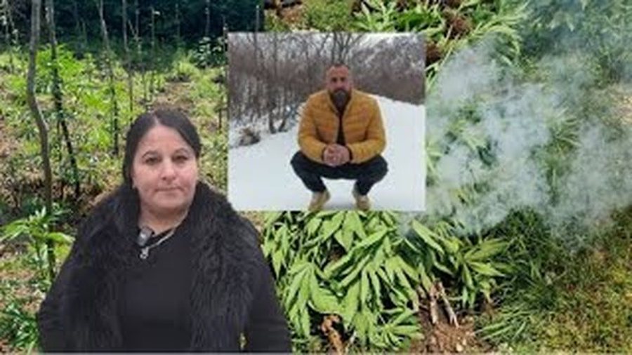U vra për parcelat e kanabisit? Motra e Mirel Çokajt: Dyshoj se