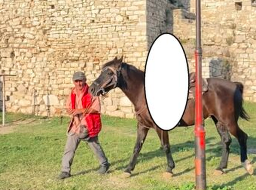 Vrau me thikë 42 vjeçarin për një foto me kalë,