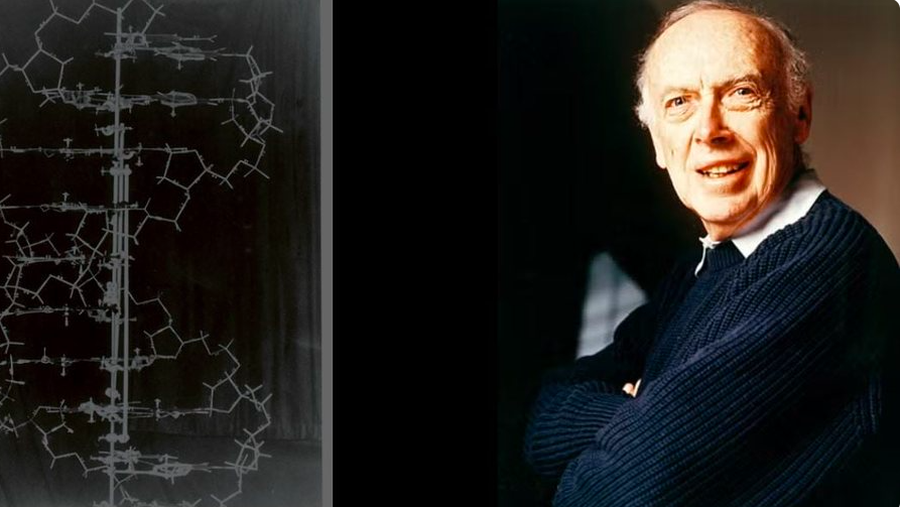 Deshifroi kodin e jetës dhe zbuloi ADN-në, ndahet nga jeta