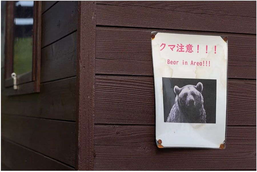 “Ja si do të vdes” / Japonia e terrorizuar nga sulmet e arinjve