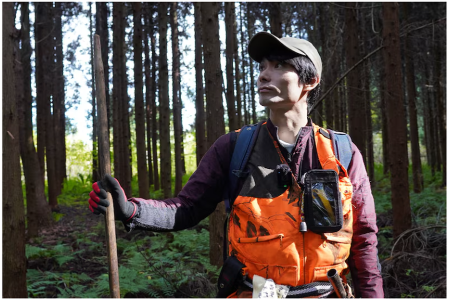 “Ja si do të vdes” / Japonia e terrorizuar nga sulmet e arinjve