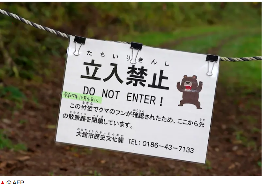 “Ja si do të vdes” / Japonia e terrorizuar nga sulmet e arinjve