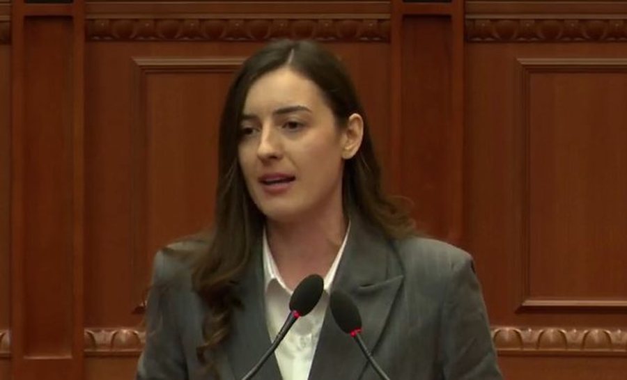 "Niko na iku", gafat e Zegjine Çaushit në Kuvend,