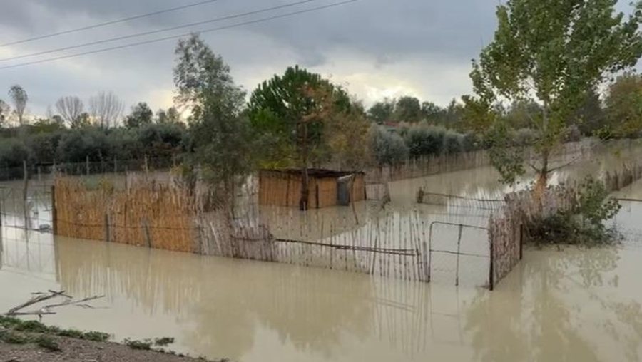 Tërhiqen ujërat e lumenjve nga tokat bujqësore në Fier
