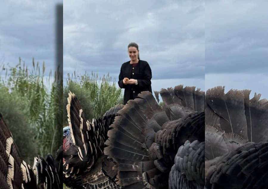 Deputetja e PS: Një emocion i vecantë të rrethohesh nga gjelat e