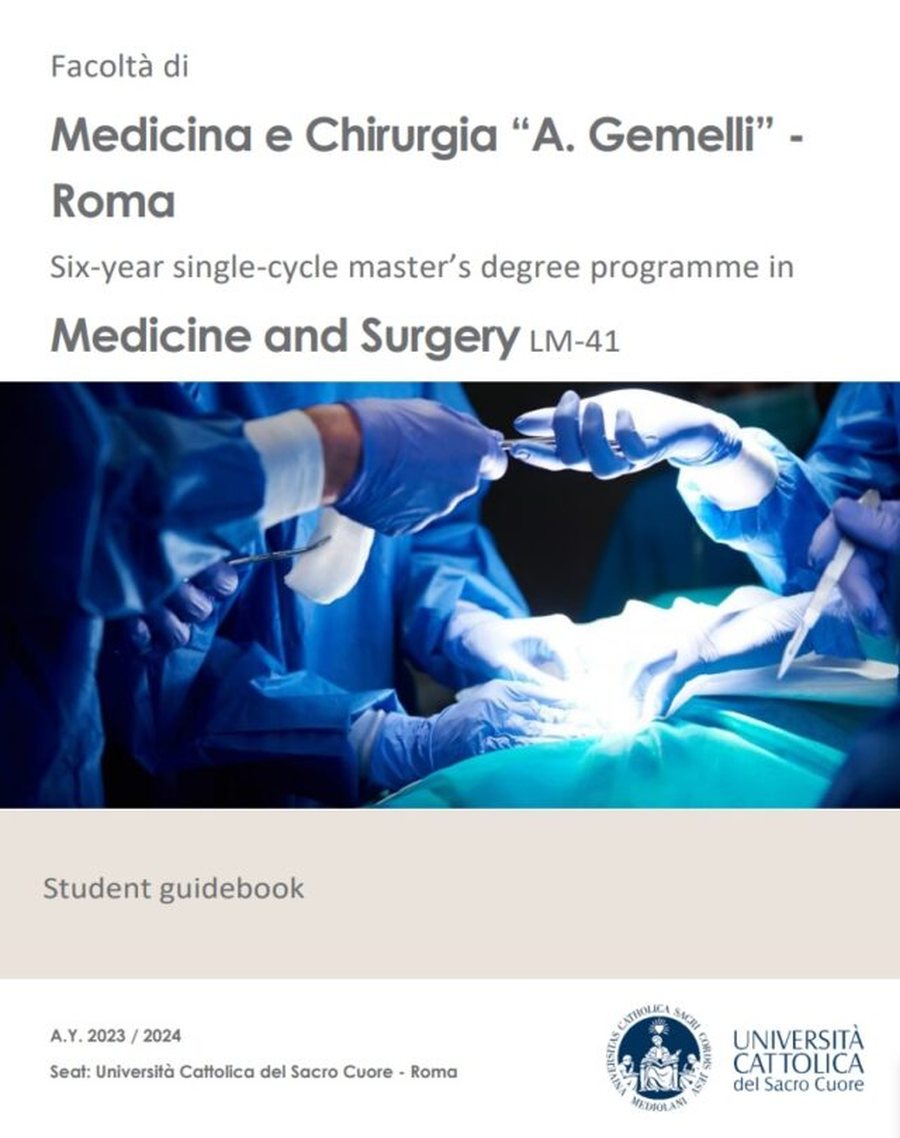 Gënjeshtër publike/ Bisedën me një ish-koleg italian,