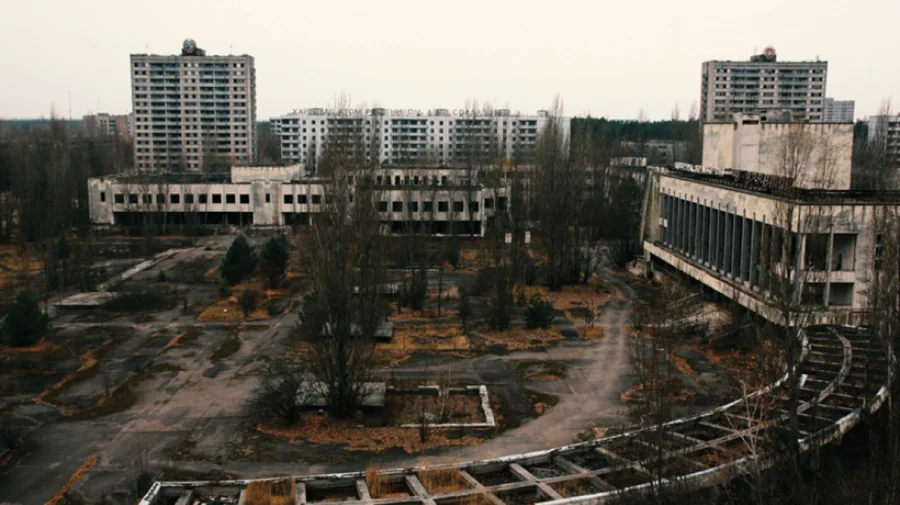 Kërpudha misterioze e zezë e Çernobilit që "ha"