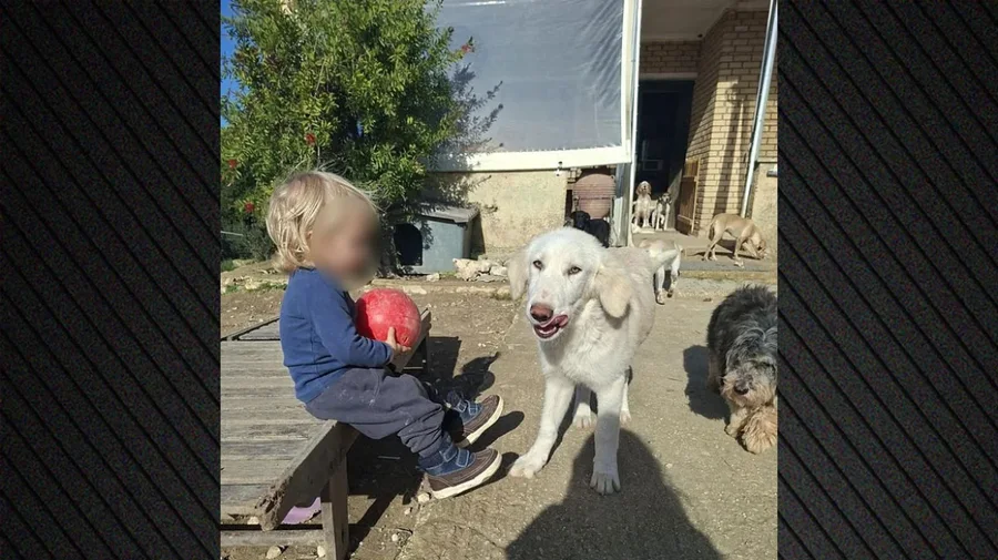 Rrëfimi i rrëqethës i nënës së 2-vjeçarit: