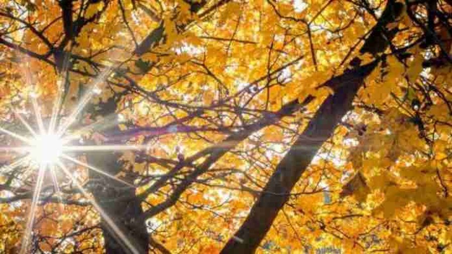 Temperatura deri në minus 3 gradë, njihuni me parashikimin e motit