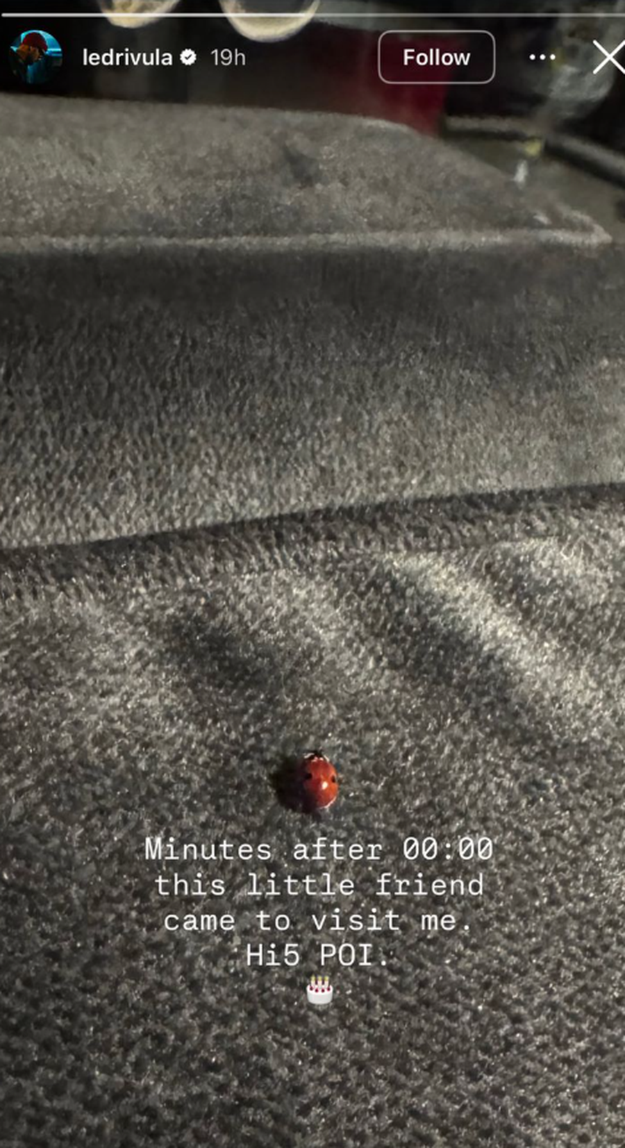 FOTO/ Poem Blu feston datëlindjen, urimi i Sara Hoxhës dhe postimi