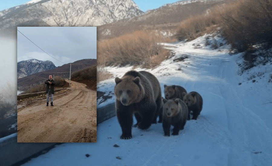 Foto e rreme e arush&euml;s, kuksiani ironizon: Nj&euml; budalla gjuan nj&euml;