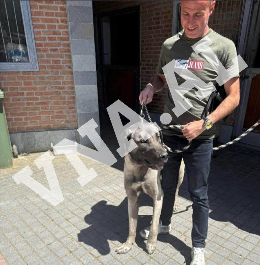 Zhduku shishet e ver&euml;s mln euro &ldquo;n&euml;n hund&euml;n&rdquo; e