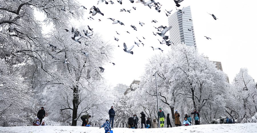 Stuhia e d&euml;bor&euml;s &ldquo;ngrin&rdquo; Nju Jorkun, mbi 1.600 anulime