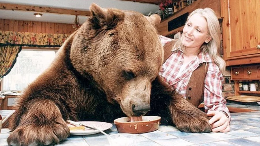 Historia e pabesueshme ariut 'Herkuli' që u rrit si