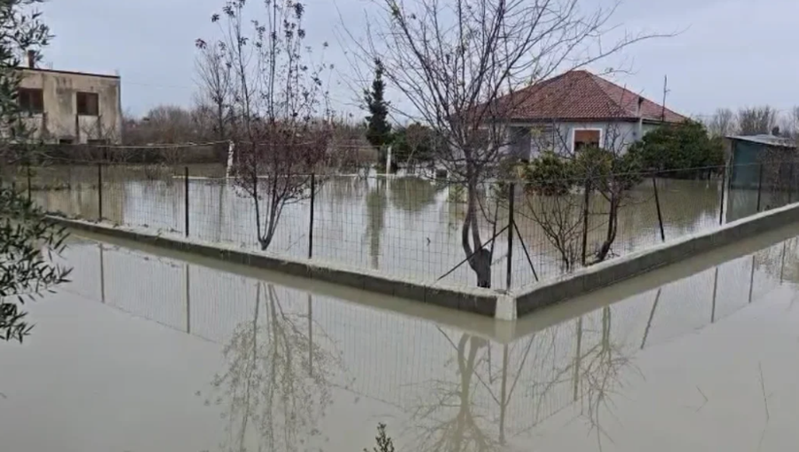 "Ngrica, rrug&euml; t&euml; bllokuara dhe munges&euml; energjie