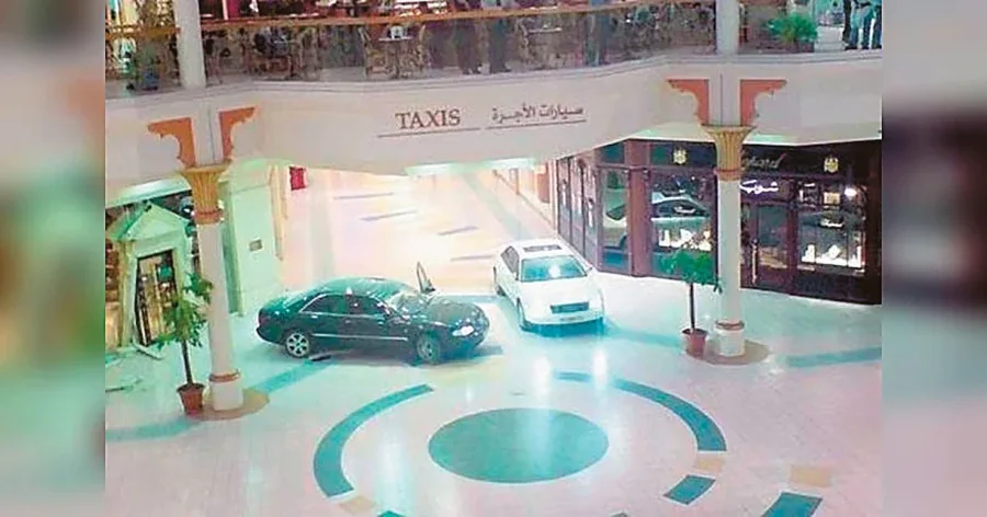 'Na p&euml;lqen t&euml; grabisim t&euml; pasurit'/ Historia e