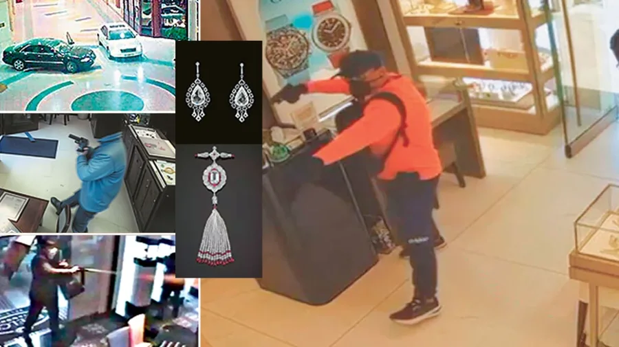 'Na p&euml;lqen t&euml; grabisim t&euml; pasurit'/ Historia e