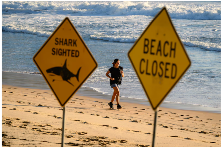 Tragjedi n&euml; Australi: Nj&euml; f&euml;mij&euml; 12-vje&ccedil;ar humb