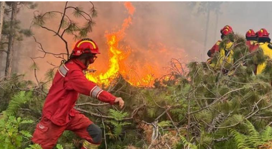 Zjarret gjatë verës, caktohen 345 milionë lekë