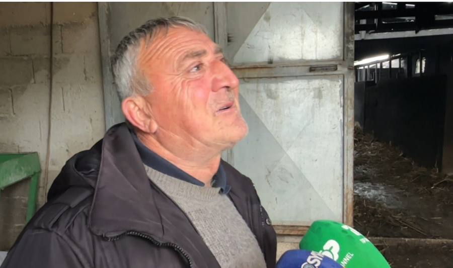 Zjarri i d*gji 22 kok&euml; gjedh&euml;, fermeri nga Selenica i p&euml;rlotur: