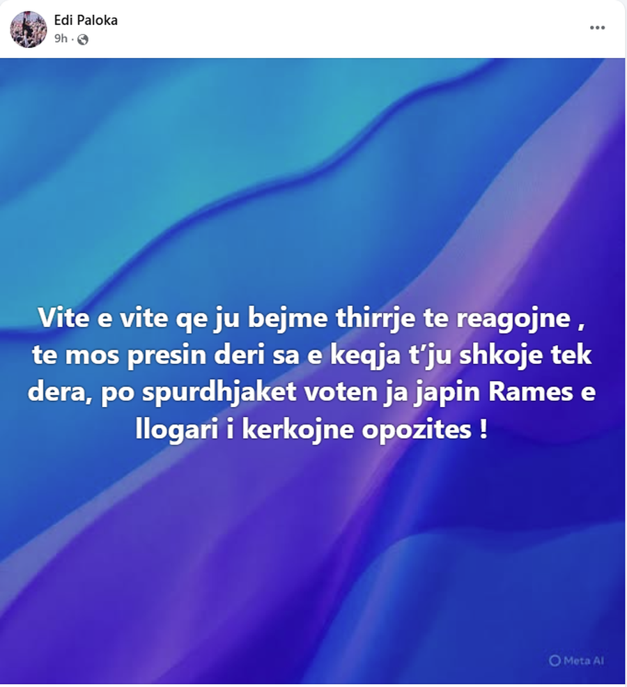 "Spurdhjak&euml;", Edi Paloka kritikon protestuesit p&euml;r