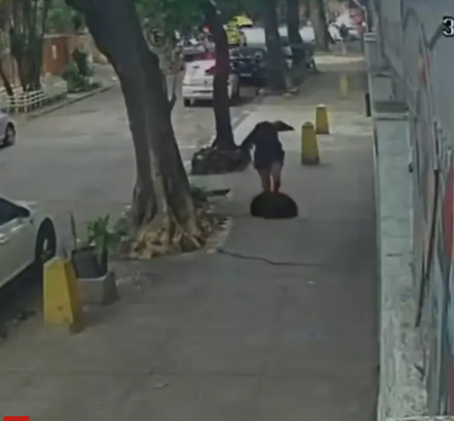 VIDEO/ Momenti i tmerrsh&euml;m, po shihte telefonin, gruaja bie n&euml;