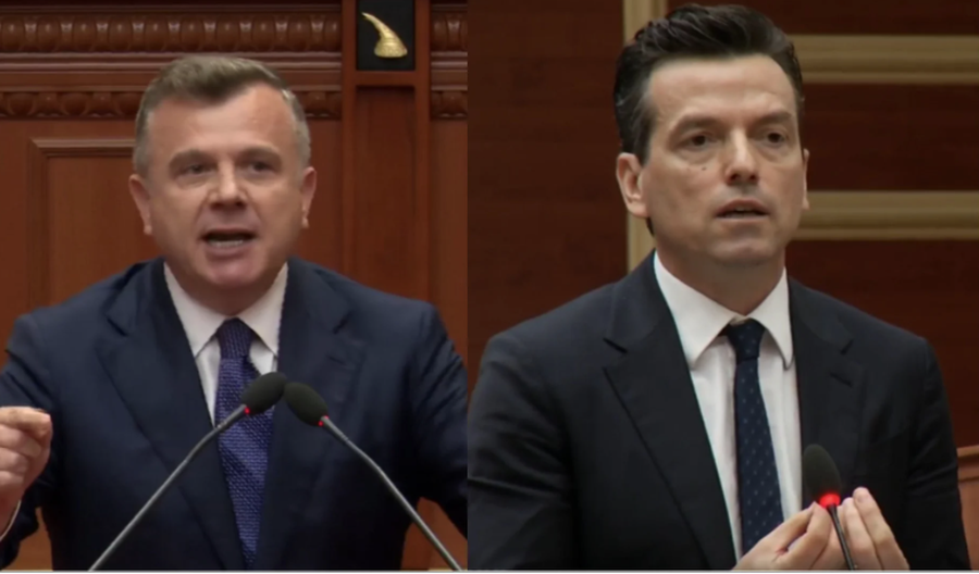 Debat i ashp&euml;r n&euml; Kuvend, Shehaj: U kuptua se jeni nj&euml; me