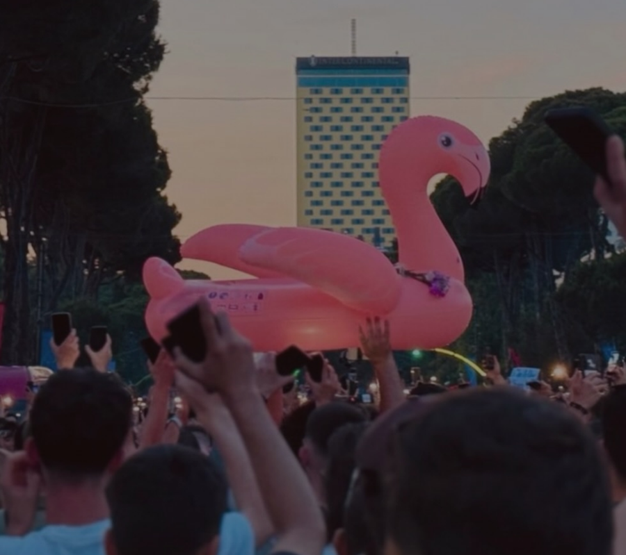 &ldquo;Revolucioni i Flamingove&rdquo; q&euml; po ndryshon mentalitetin e