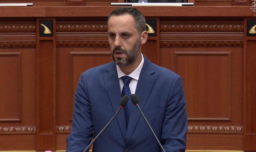 Ngjarja e Maliqit, Lamallari interpelanc&euml; n&euml; Kuvend: Hetim i