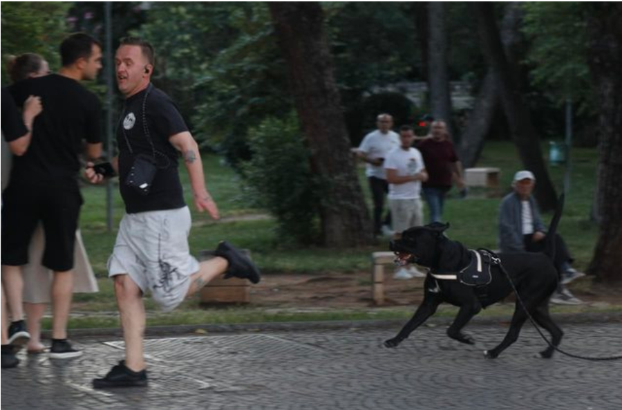 U ndoq me vrap nga protestuesit, i riu me pitbull, djali i ish-deputetit t&euml;