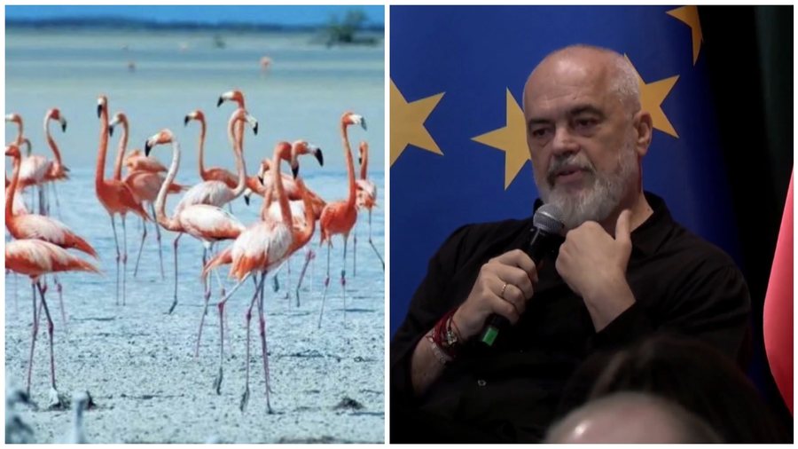 Parlamenti Evropian miraton raportin për Shqipërinë: Të