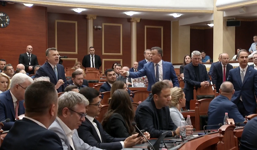 &ldquo;Ky pelikani, i fundit q&euml; mund t&euml; flas&euml;&rdquo;,
